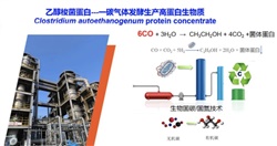 重大突破！中國農(nóng)科院首次實現(xiàn)從一氧化碳到蛋白質(zhì)的合成，并形成萬噸級工業(yè)產(chǎn)能